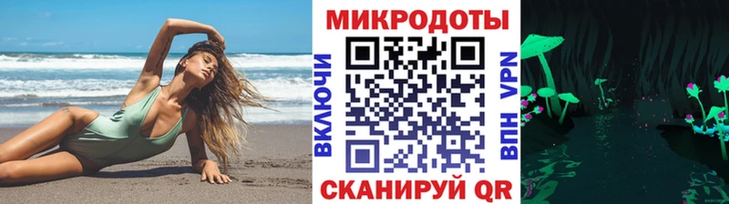 магазин    Теберда  Псилоцибиновые грибы Psilocybine cubensis 